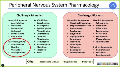 Thumbnail for 240923  - M1 - PHAR - 10am -Autonomic Pharmacology Parasympathetic NS 2 - Negus