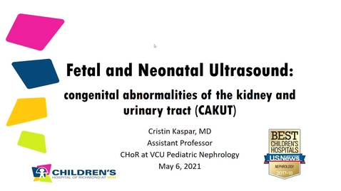 Thumbnail for entry Prenatal Urinary Tract Abnormalities and US