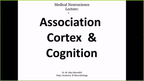 Thumbnail for entry 211203 - M2 - 9am - NRS - Cerebral Cortex and Higher Cortical Processing - Meredith