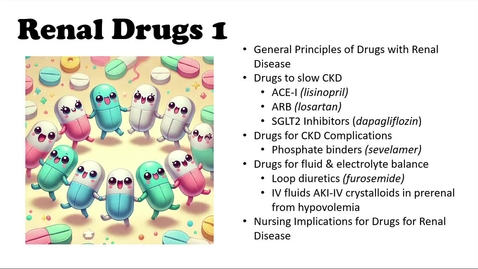Thumbnail for Renal Drugs 1