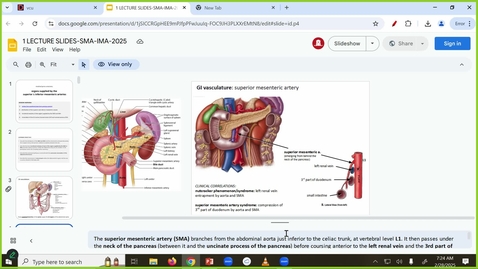 Thumbnail for 250228 - M1 - GI - 8am -  Superior/Inferior Mesenteric Visc Organs - McGinn Greer