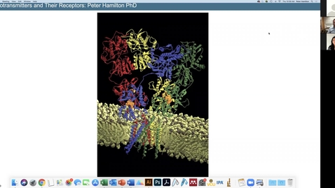 Thumbnail for entry 201022 - M2 - 11am - MBB - Neurotransmitters and Their Receptors - Hamilton