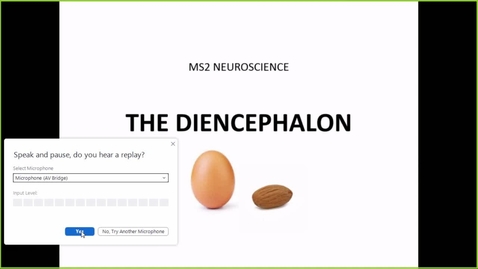 Thumbnail for entry  211117 - M2 - 8am - NRS - Diencephalon - McGinn Greer