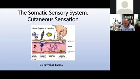 Thumbnail for entry 201023 - M2 - 9am - MBB - Sensory Receptors and Somatosensory Physiology - Colello