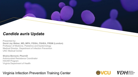 Thumbnail for Candida auris Update (April 2023)