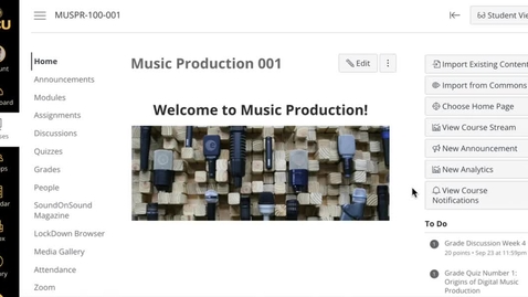 Thumbnail for Assignment Groups Weight