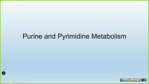 Thumbnail for 250811 - M1 - MBHD - Pyrimidine and Purine Metabolism