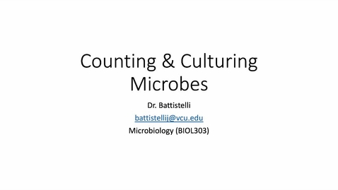 Thumbnail for CountingAndCulturingV3