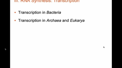 Thumbnail for Bacterial Transcription