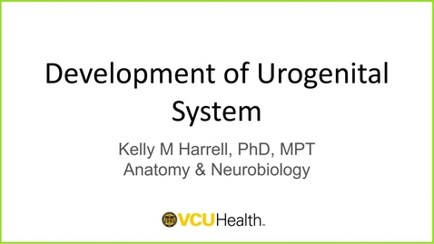 Thumbnail for 240430 - 8AM - M1 - REPRO - Embryology: Urogenital Development