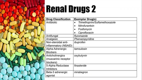 Thumbnail for Renal Drugs 2 - Interactive Presentation