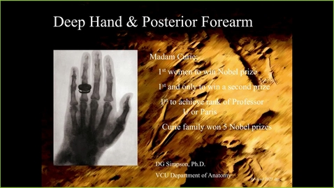 Thumbnail for 250131 - M1 - MOVE - 1pm - Anatomy: Posterior Forearm and Dorsal Hand  - Simpson