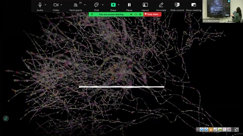 Thumbnail for 251202 - M2 - NRS -10am - Stroke:Pathology of Cerebrovascular Disease - Johns + Richard