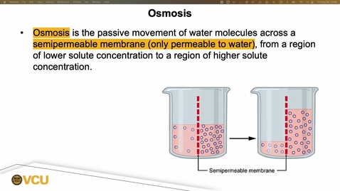 Thumbnail for 02. Osmosis