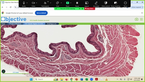 Thumbnail for 251201 - M1 - 11AM - FOD - Gross Anatomy Concepts