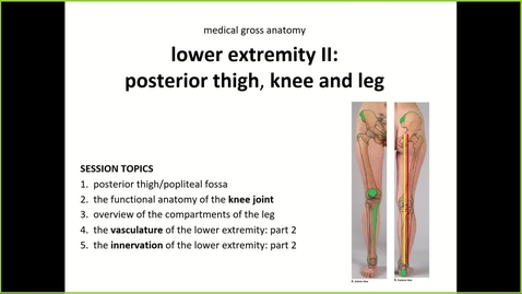 Thumbnail for 250204 - M1 - MOVE - 8am - Anatomy: Knee and Leg - McGinn Greer 