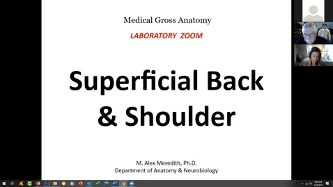 Thumbnail for entry 210126-M1-945am-MOVE-Anatomy Lab: Superficial Back and Shoulder-Meredith, Harrell