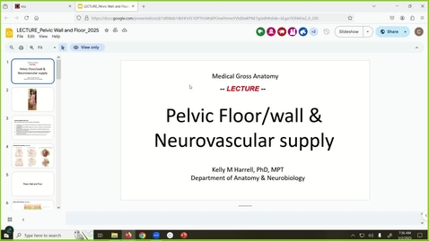 Thumbnail for 250502 - M1 - REP - 8am -  Pelvic Wall and Diaphram - Harrell