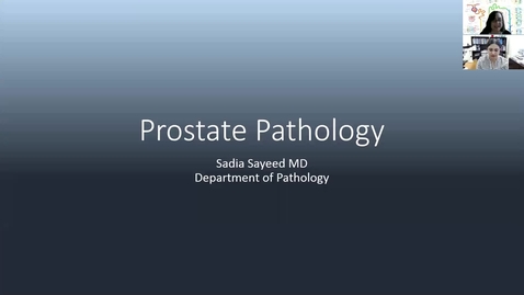 Thumbnail for entry 201008-M2-11am-RENL-Pathology of BPH &amp; Prostate Cancer-Sayeed