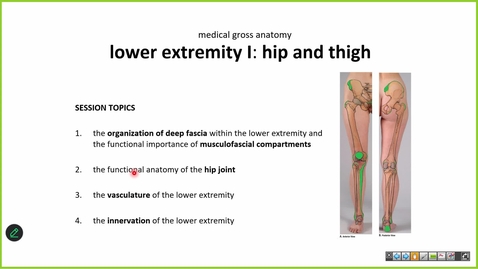 Thumbnail for 260211 - M1 - 8AM - MOVE - Anatomy Lecture: Hip and Thigh