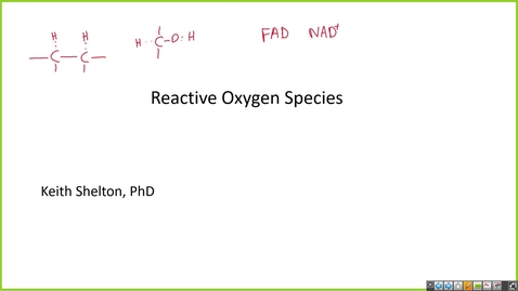 Thumbnail for 240808 - M1  - MBHD - 9am - Reactive Oxygen Species - Shelton