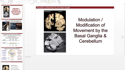 Thumbnail for entry 201029 - M2 - 10am - MBB - Modulation of Movement by the Basal Ganglia and Cerebellum - Ottens