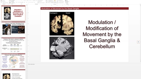 Thumbnail for 201029 - M2 - 10am - MBB - Modulation of Movement by the Basal Ganglia and Cerebellum - Ottens