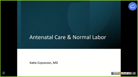 Thumbnail for 250515 - M1 - REP - 10am - Antenatal Care and Labor - Czyszczon