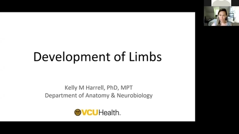 Thumbnail for 210430 - M1 - 8am - REPR - Embryology: Limb Development - Harrell