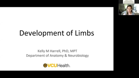 Thumbnail for entry 210430 - M1 - 8am - REPR - Embryology: Limb Development - Harrell