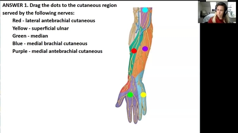 Thumbnail for entry 210202 - M1 - 10am - MOVE - Anatomy Lab: Anterior Forearm and Palm of Hand - Harrell