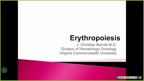 Thumbnail for 260107 - M1 - 9AM - MARR - Erythropoiesis and Globin Regulation/Synthesis