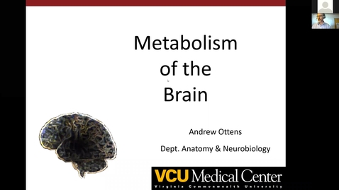 Thumbnail for 201022 - M2 - 9am - MBB - Metabolism of the Brain - Ottens