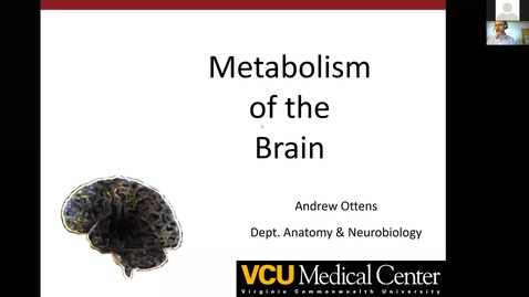 Thumbnail for entry 201022 - M2 - 9am - MBB - Metabolism of the Brain - Ottens