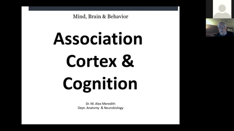 Thumbnail for entry 201102-M2-9am-MBB- Cerebral Cortex and Higher Cortical Processing-Meredith