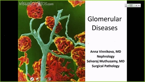 Thumbnail for entry 211011 - M2 - 10am - RENL - Glomerular Disease and Pathology I - Vinnikova, Muthusamy