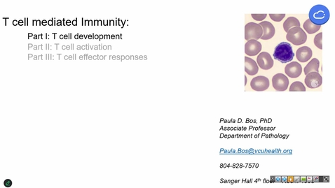 Thumbnail for 241015  - M1 - I&amp;I - 8am -  T cells: Development + Activation - Bos