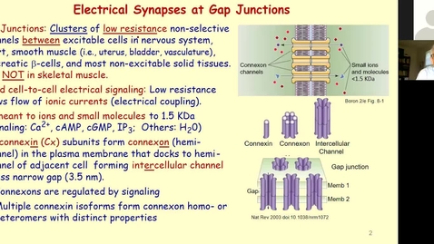 Thumbnail for 200921 - M1 - 9am - PHYS - Electrical Excitability in Chemical Neurotransmission 1 - Baumgarten