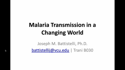 Thumbnail for entry Malaria