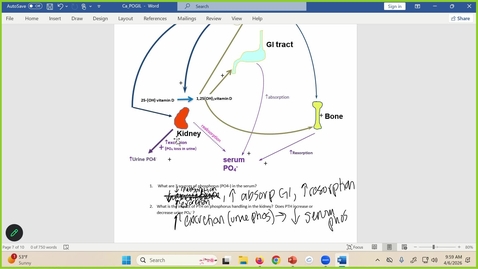 Thumbnail for 260406 - M1 - 10AM - ENDO - Hypocalcemia