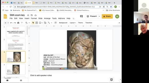 Thumbnail for entry 210310 - M1 - 10am - GI - Anatomy Lab: Superior/Inferior Mesenteric Visc Organs - McGinn Greer