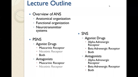 Thumbnail for PHTX 400 Lecture 17 Nicholson ANS Pharmacology