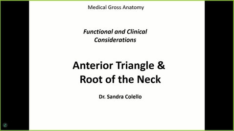 Thumbnail for 250206 - M1 - MOVE - 8am - Anatomy: Muscles of Face and Root of Neck- Colello