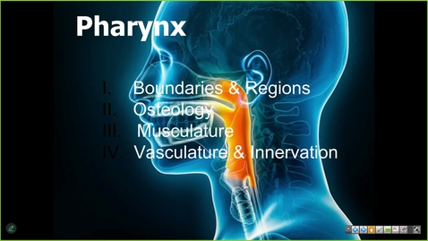 Thumbnail for 250305 - M1 - GI - 8am -  Anatomy Lecture: Larynx, Pharynx and Neck Visc - Simpson