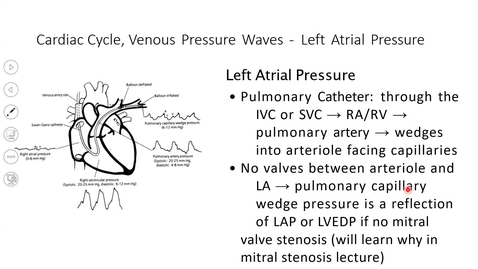 Thumbnail for 240820 - M2 - 8AM - CARD - Abnormal Ventricular Mechanics - Problem Solving