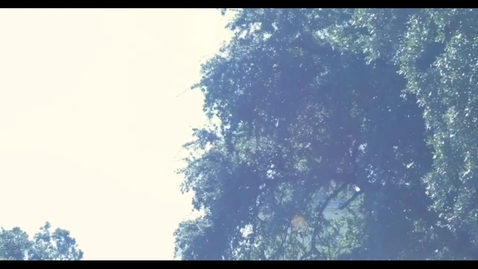 Thumbnail for Baylor Immersion 1 MIN (720p)