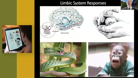 Thumbnail for SET Spring 2023 - In Real Time: Successful Synchronous Online Teaching
