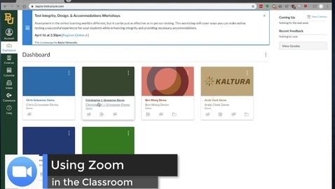 Thumbnail for Using Zoom in the Classroom