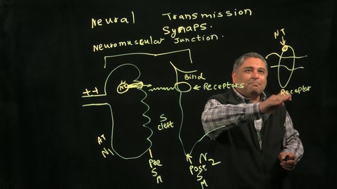 Thumbnail for Biology of Addiction: Neuro-transmission at the synapse
