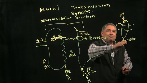 Thumbnail for entry Biology of Addiction: Neuro-transmission at the synapse